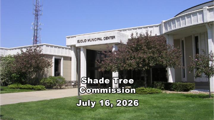 Thumbnail image for Shade Tree Commission 7/16